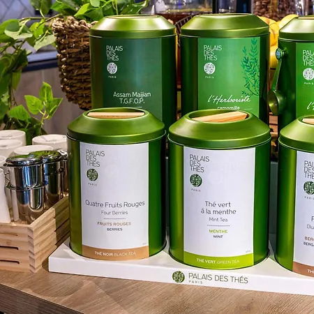 Ibis Maine Montparnasse Otel